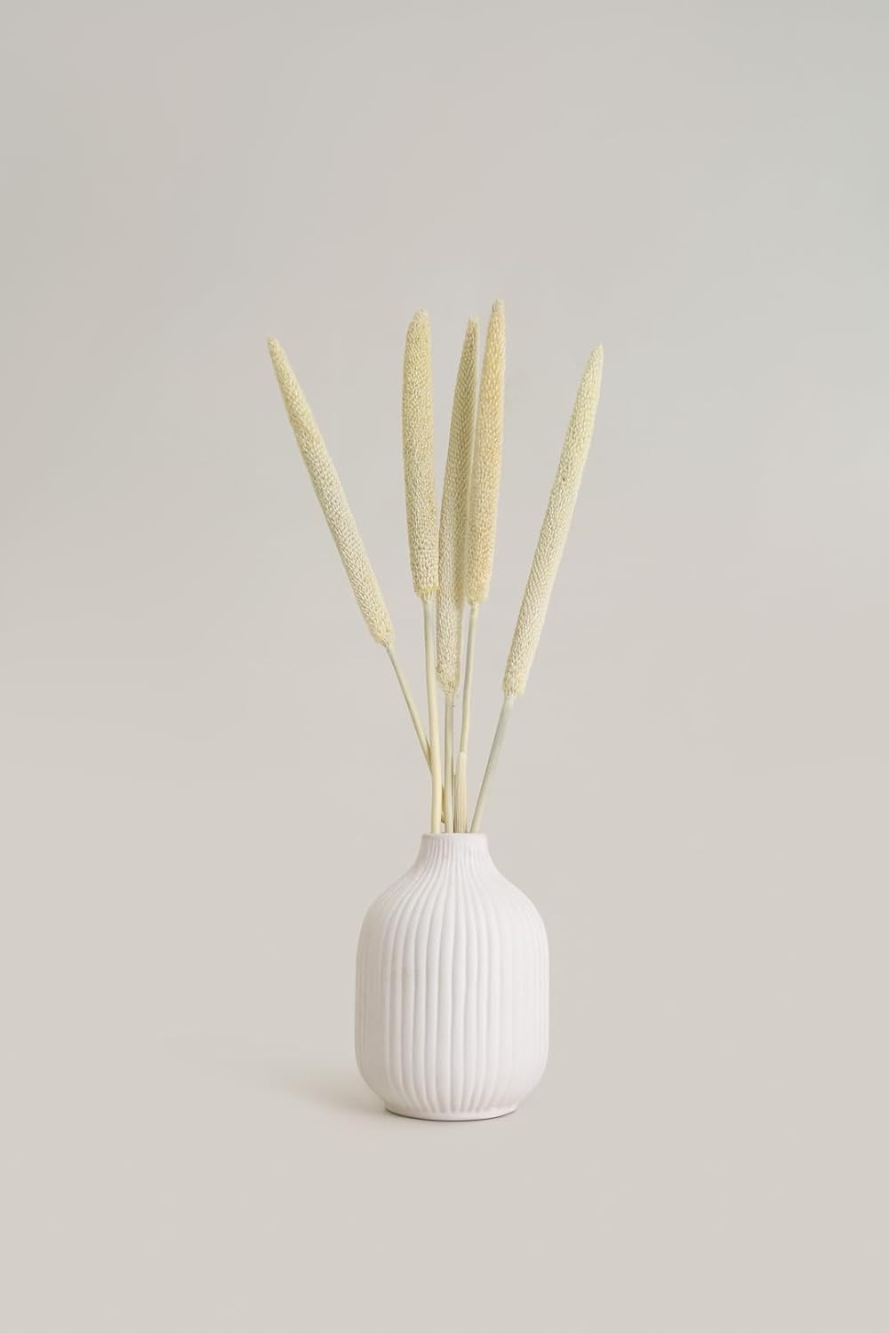 PUREZENTO Ivory Textured Rounded Bottle Shaped Ceramic Vase 6.5 Inch – Pack of 1 | Decorative Ceramic Vase for Home Decor, Living Room, Office | Vases for Dried Flowers & Pampas Grass